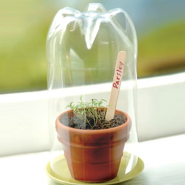 U型玻璃幕牆溫室效應(yīng)（terrarium effect）
